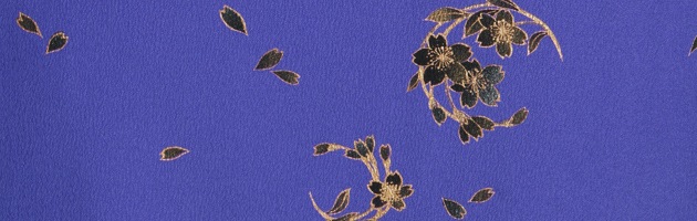 ´�ȼ� �� ��󥿥� �翧 �� ��Ĺ��165cm,7���13�� NT-222