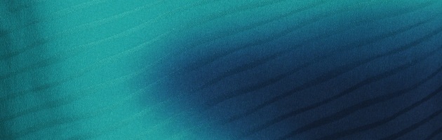 ´�ȼ� �� ��󥿥� �Ŀ� �ܤ��� ��Ĺ��165cm,7���13�� NT-229