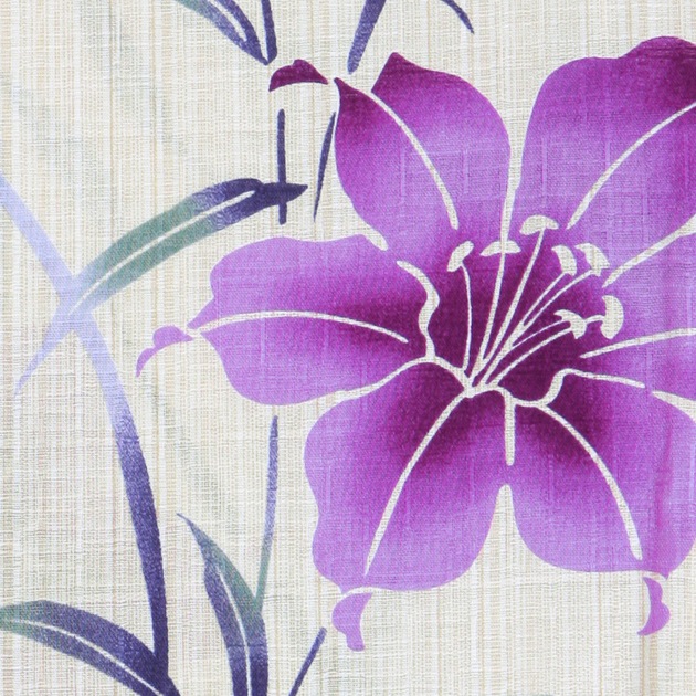 ����� ��󥿥�ۥ�ǥ����� 3�����åȡ���ᡦ�ӡ����̡�nt-y045 ���꡼�࿧/���