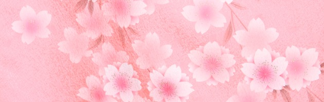 ´�ȼ� �� ��󥿥� �ԥ󥯿� ������ ������ ��Ĺ��170cm,7���13�� NT-260