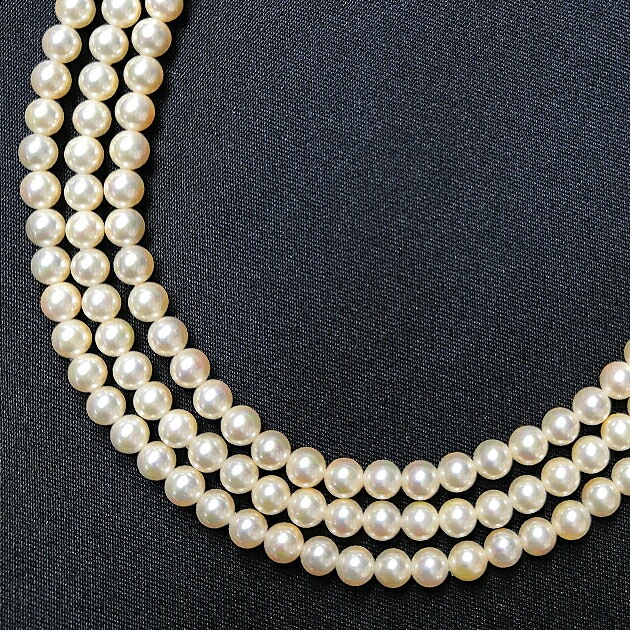 ڥͥå쥹-󥿥ۥǥ ꡼ ѡ ֥饤륢꡼ nek20-021p