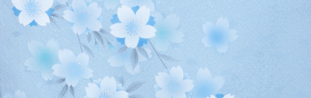 ´�ȼ� �� ��󥿥� �֥롼�� ������ ��Ĺ��170cm,7���13�� NT-262