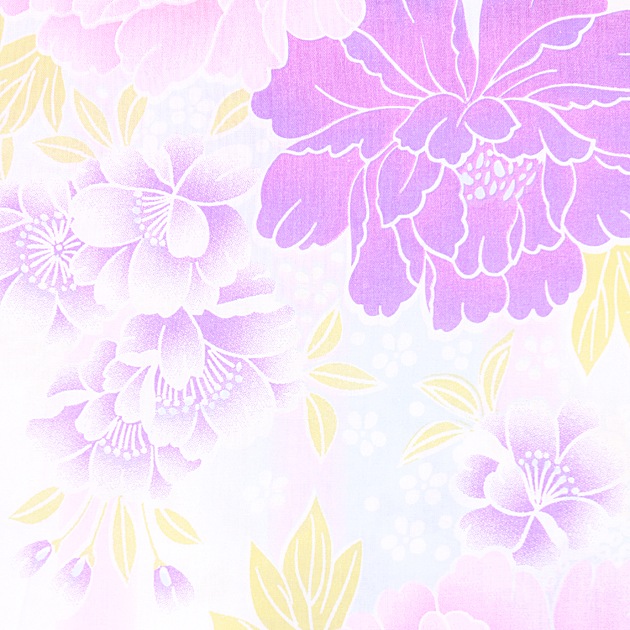 ����� ��󥿥�ۥ�ǥ����� 3�����åȡ���ᡦ�ӡ����̡�nt-y051 ��/�ѥ��ƥ�����