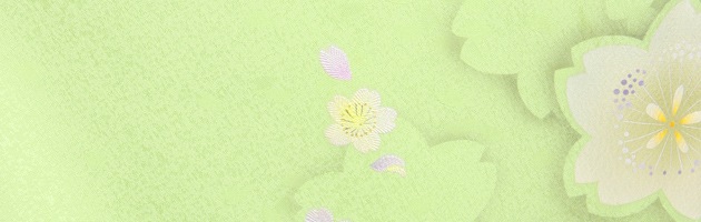 ´�ȼ� �� ��󥿥� �Ҥ￧ �����������꡼�� �ԡ������� ��Ĺ��170cm,7���13�� NT-276