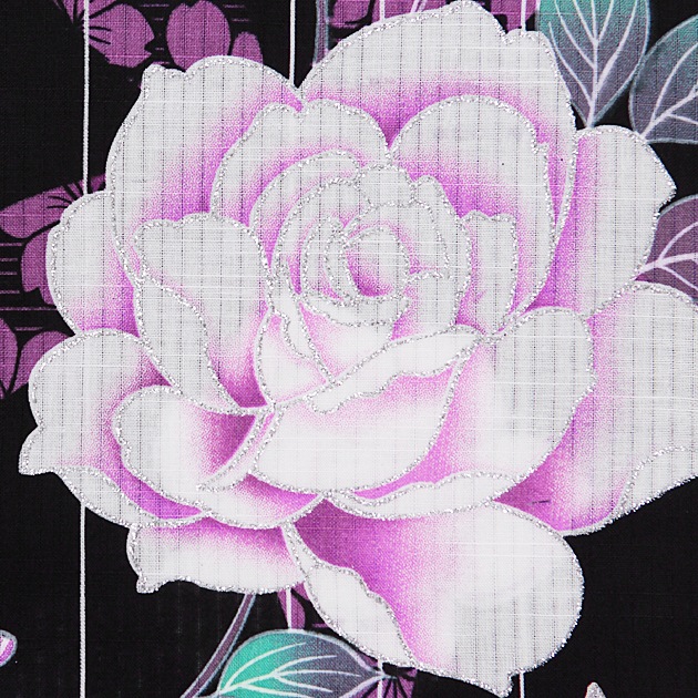  󥿥ۥǥ 3åȡᡦӡ̡nt-y056 /Х