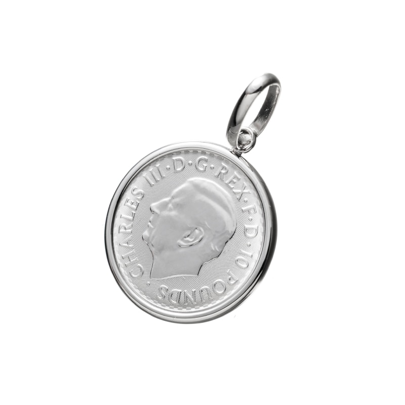 Tださん専用 プラナプリベント3ブレスファ1 楽天市場】コイントップ PT999 ペンダントヘッド 1/10oz