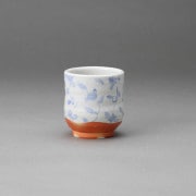 �п����չ���ʸ����(ʡ����)