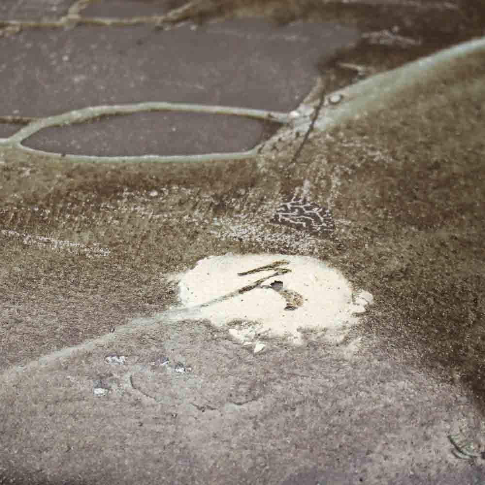 ��ťʸ���绮�ʺ���׻ʡ�