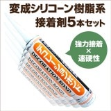 ꥳޡǥ졼ܥ5ܥåȡ1ܤ1,858ߡ NC-NQT003S5