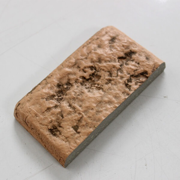 �����֥�å����١����塡̵������ץ� ��NC-SAMPLE-NEB003��