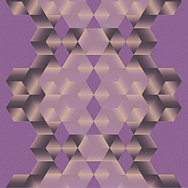 �ɻ� 3D�����������������͡��ǥ��륳�ޥˡ�������ܥ��ù���53cm��10����[NWP850F]