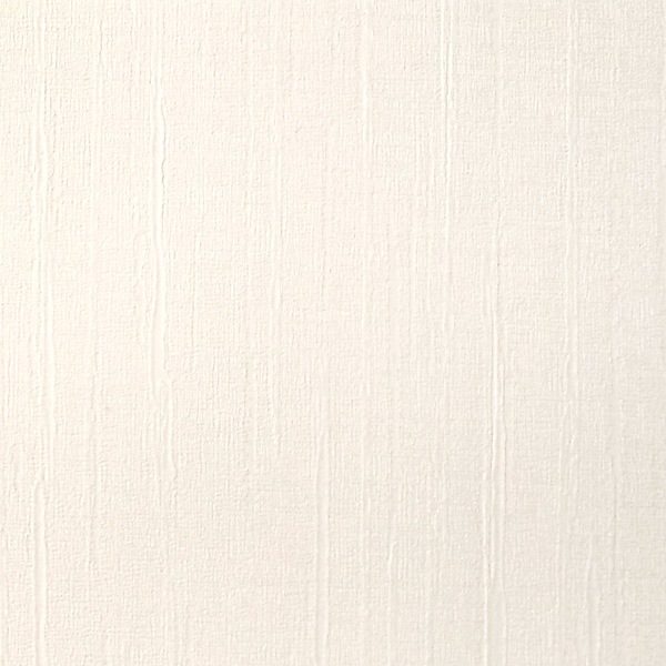 �ɻ� 3D��������̵�ϡ���ʪ��������ܥ��ù���53cm��10����[NWPS070A]