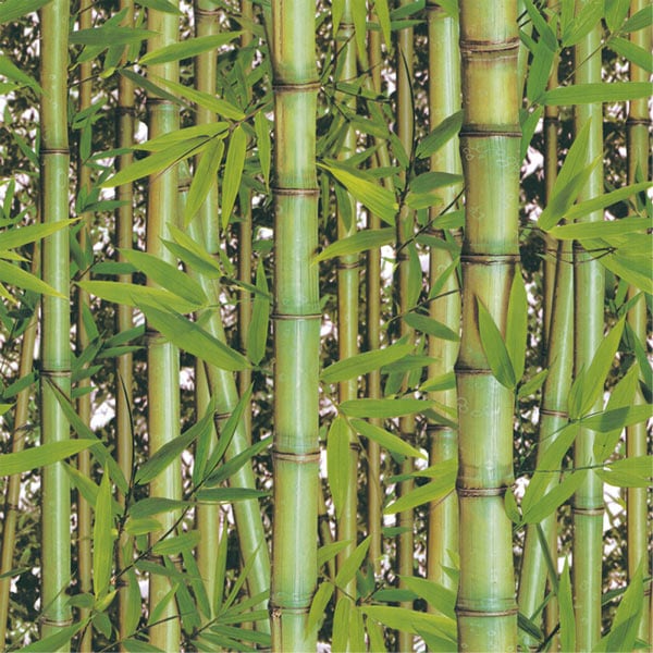 �ɻ� 3D��������������������ܥ��ù���53cm��10����[NWPH8021]