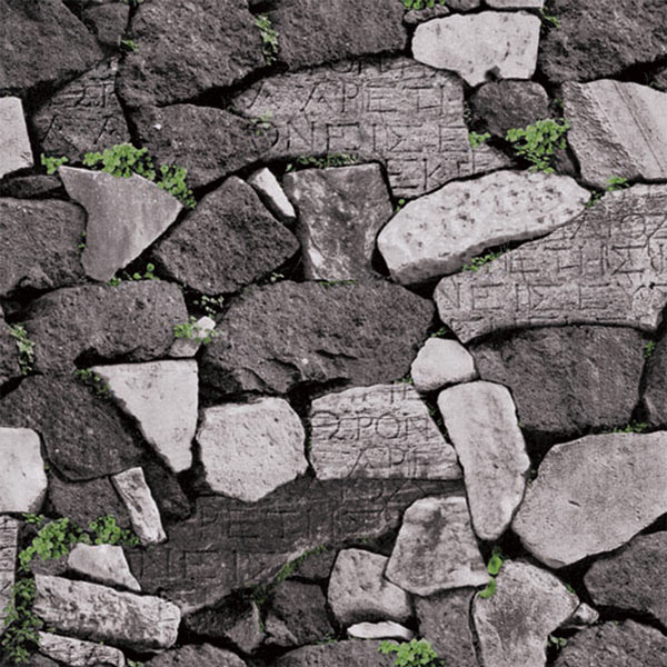 ɻ 3Dܥù53cm10[NWP105D]