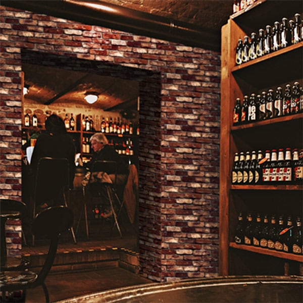 ɻ 3Dܥù53cm10[NWP513E]