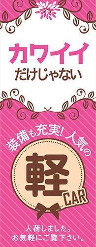 �Τܤ꡿K-202 ���磻����������ʤ��������˿͵�����CAR�ʥԥ󥯡�