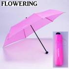 �ե���� �ݥߥ˻� SE5-194-1 �ѥ��ƥ�ԥ� ��� �뺧�ˤ� ��ŵ�֤�  �ץ쥼���