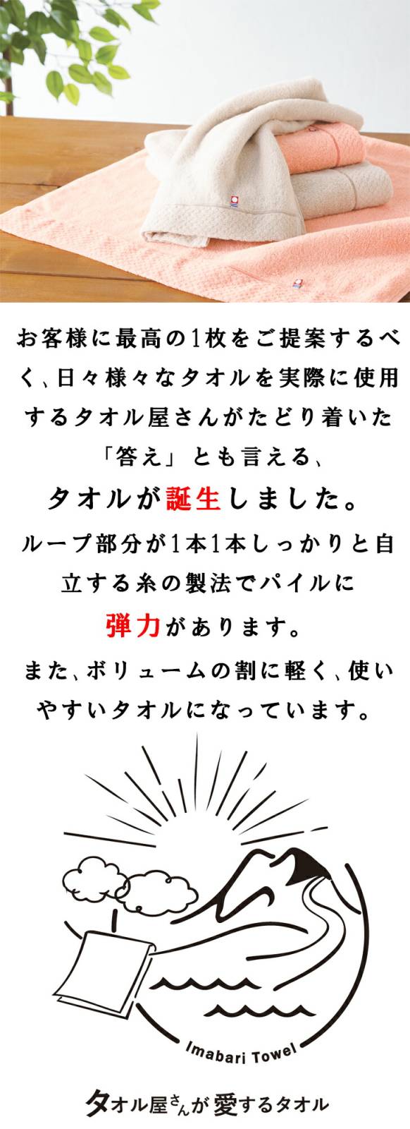 タオル屋さんが愛するタオル 今治産バスタオル2P AM5-43-7 内祝
