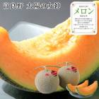 ���渵2026 ����ľ�� ���������ۤν�������� 2�� 61-02026 
