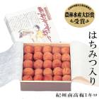 渵2025 ƻˬͤƤϤߤ̣ 1kg 51-37047    