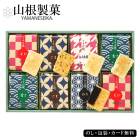 渵2025 оƤߵ͹礻 77 51-83049   