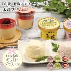 渵2025 ¢̳ƻ꡼&ץ51-21043 ե £ 