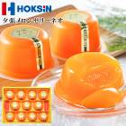 渵2025 ͼĥ󥼥꡼ͥ 11 51-79033    渵 