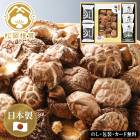 ܤ̣Ǻॹ׵͹礻SE5-308-9  ˤ 뺧ˤ  ץ쥼  