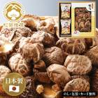 ܤ̣Ǻॹ׵͹礻SE5-308-8  ˤ 뺧ˤ  ץ쥼  