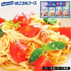 󥹥ޥ륮ե SE5-284-7 󤻥 ե £ 