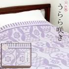 今治 うらら咲き タオルケット2P　AM5-170-4 内祝 香典返し お誕生日 ギフト|日用品