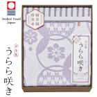 餭 륱åȡAM5-158-6 ŵ֤  ե