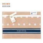 BEAMS DESIGN Х AM5-21-4  ŵ֤  