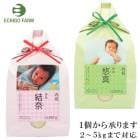 Ĥ龵ޤ ̾ν  SE5-31-1.2 л   뺧  