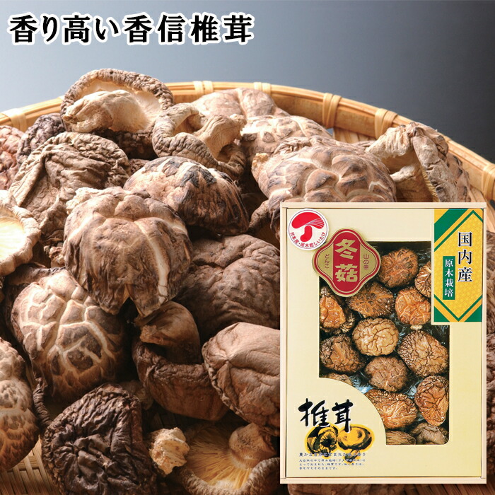 �彣���ɤ����� SE5-308-2 ��� �����ˤ� �뺧�ˤ�  �ץ쥼��� ���� ���ͼ� 