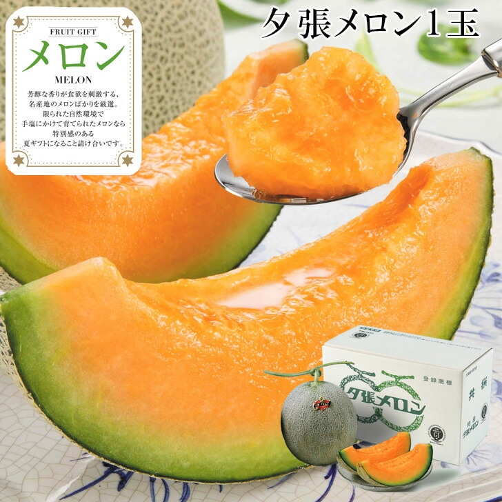 渵2025 ľ ͼĥ1 51-16031   渵 ƥե 