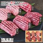 ������2025 �����µ�6�凉��åȥߥ˥��ơ��� 52-64014 �����󤻥���� ���ե�