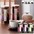 ���ե� �������� �彣���� ͥ��SE6-308-7����� �����ˤ� �뺧�ˤ�