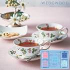 �����å����å� �ƥ����Хå����ɥ�åץ����ҡ� SE6-274-1 WEDGWOOD��� 