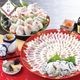 ��33990�ߥ��������ߥ��ե� ���� ����ᥫ���������ե� ���٤륮�ե� FOODS ����å� 