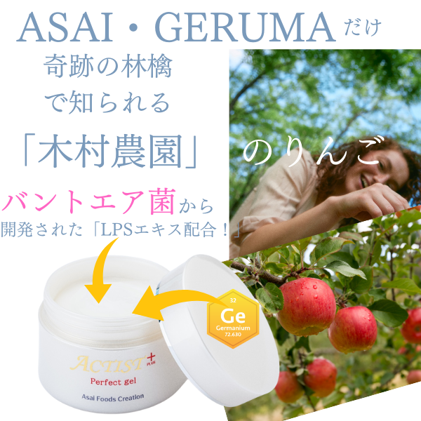 �����ƥ����ȥץ饹���ѡ��ե����ȥ����롡����ŵ���ߥ˥ץ�ߥ����и���1/�����ƥ����ȥ��꡼����3��ѥ����ʳ�1�ޡ� �ʥ⥤���ȥ���������1���ѡ��ե����ȥ������1����������å����꡼���1�ˡ�