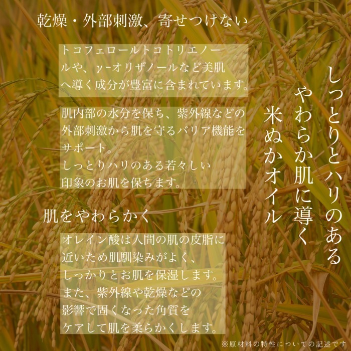 �¤餮����ե����ࡡ250ml��10��OFF  �̾����2700�ߡ��ǹ�2970�ߡ�