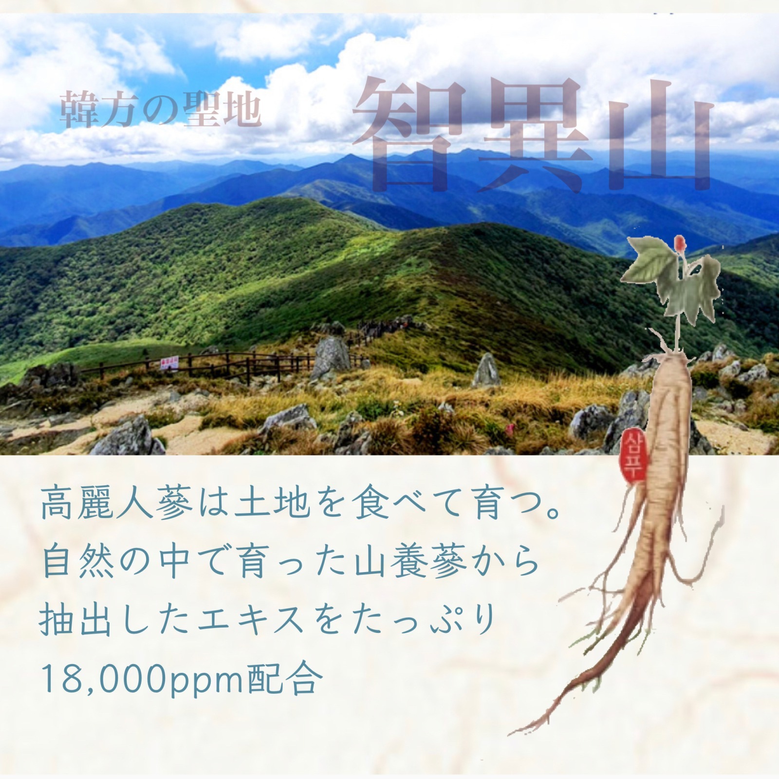 20%off ѥʥåȥ⥤㡼꡼ࡡ50ml̾ʡ7300ߡǹ8030ߡ