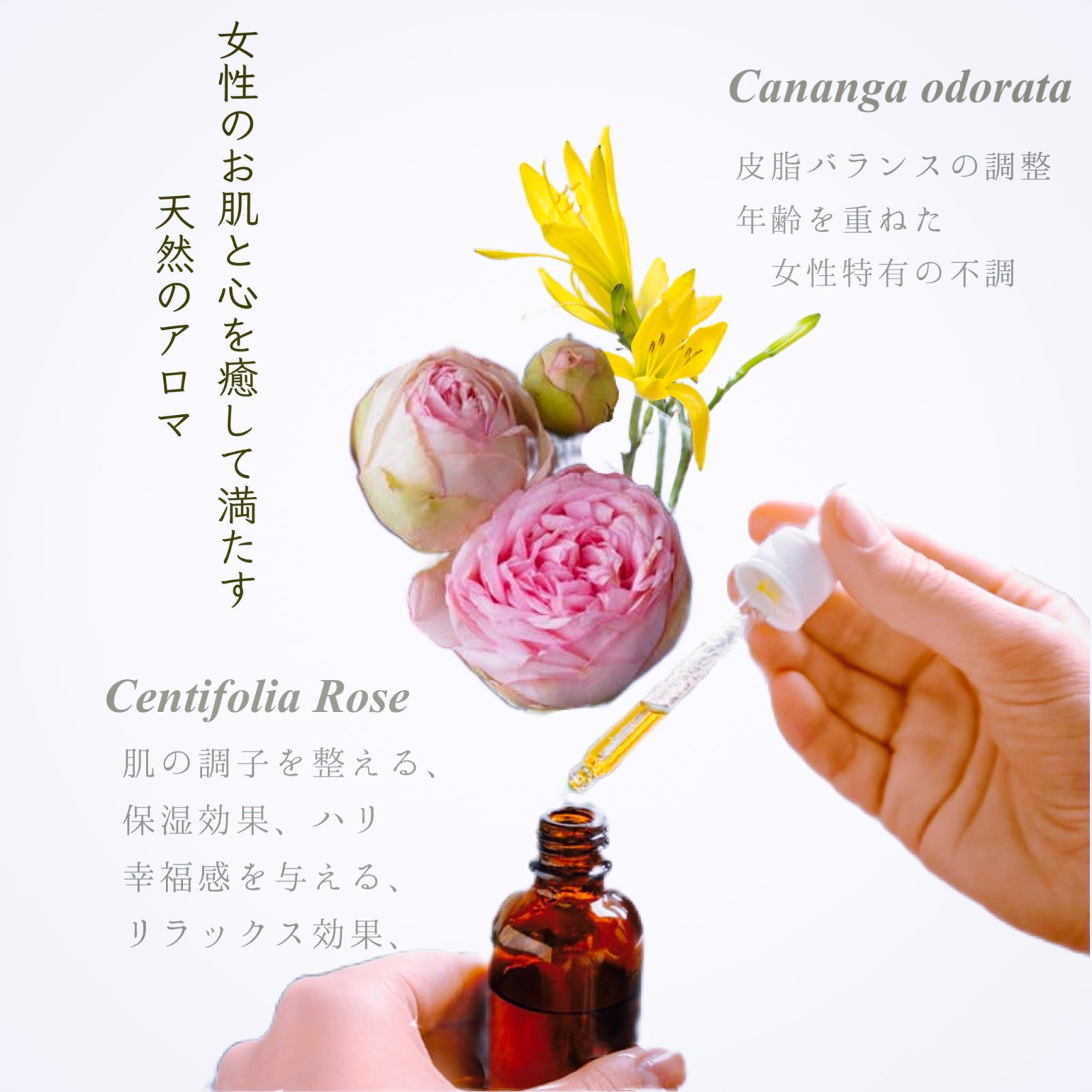 20%off ѥʥåȥ⥤㡼꡼ࡡ50ml̾ʡ7300ߡǹ8030ߡ