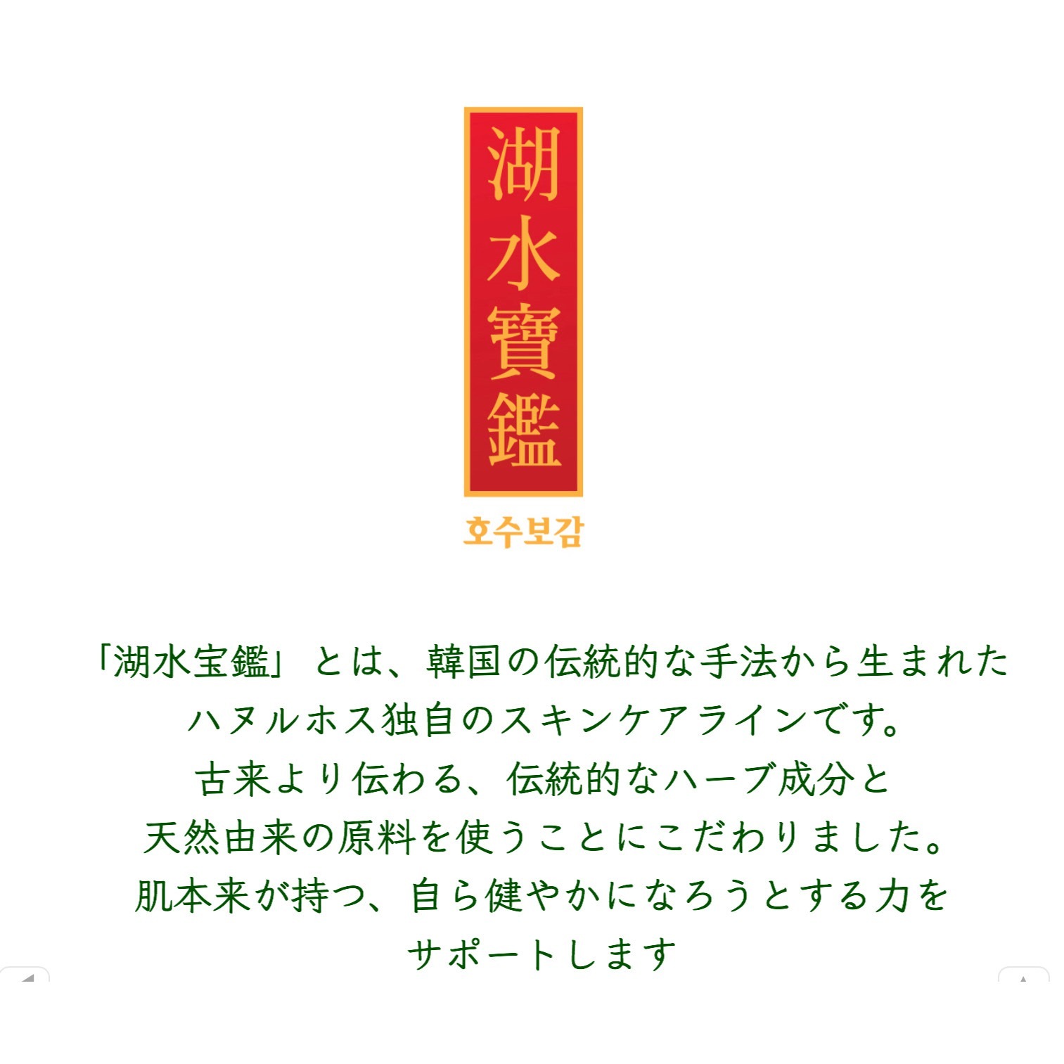 5 off пա꡼ԥ󥰥ѥå̾4200(ǹ4620ߡ