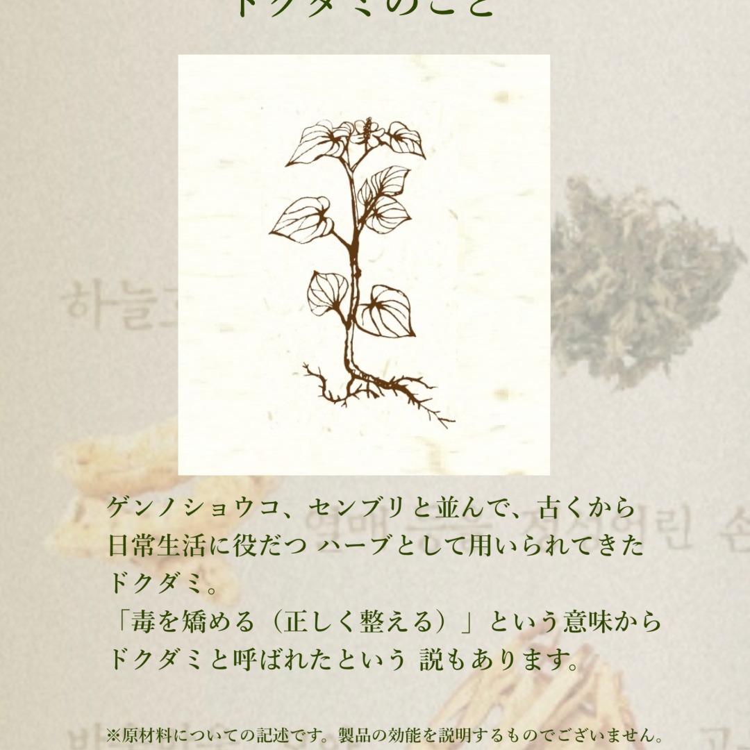 10%offп åޥѥå ̾350ߡǹ385ߡ