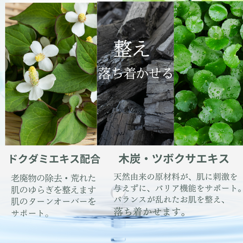 10%offп åޥѥå ̾350ߡǹ385ߡ