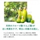 ���ǥ���������̡��¤餮��α���ѿ塡40ml�������ӥ����� ��