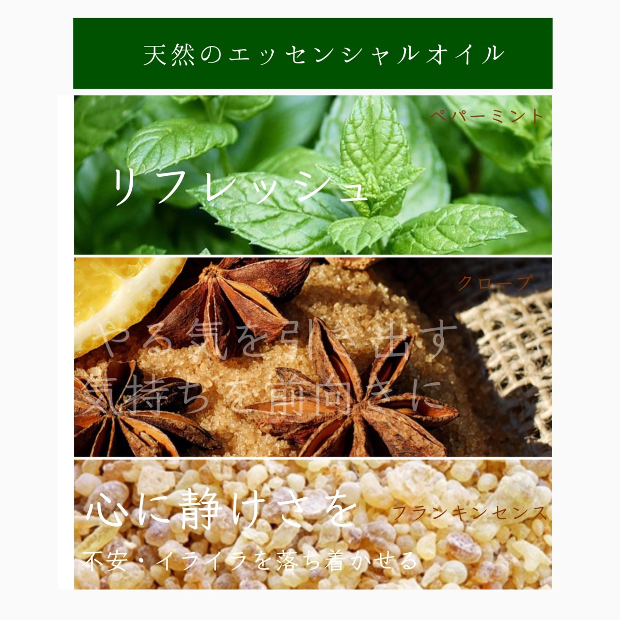 ܥ˥ݼܥǥס500ml20off̾2900ߡǹ3190ߡ