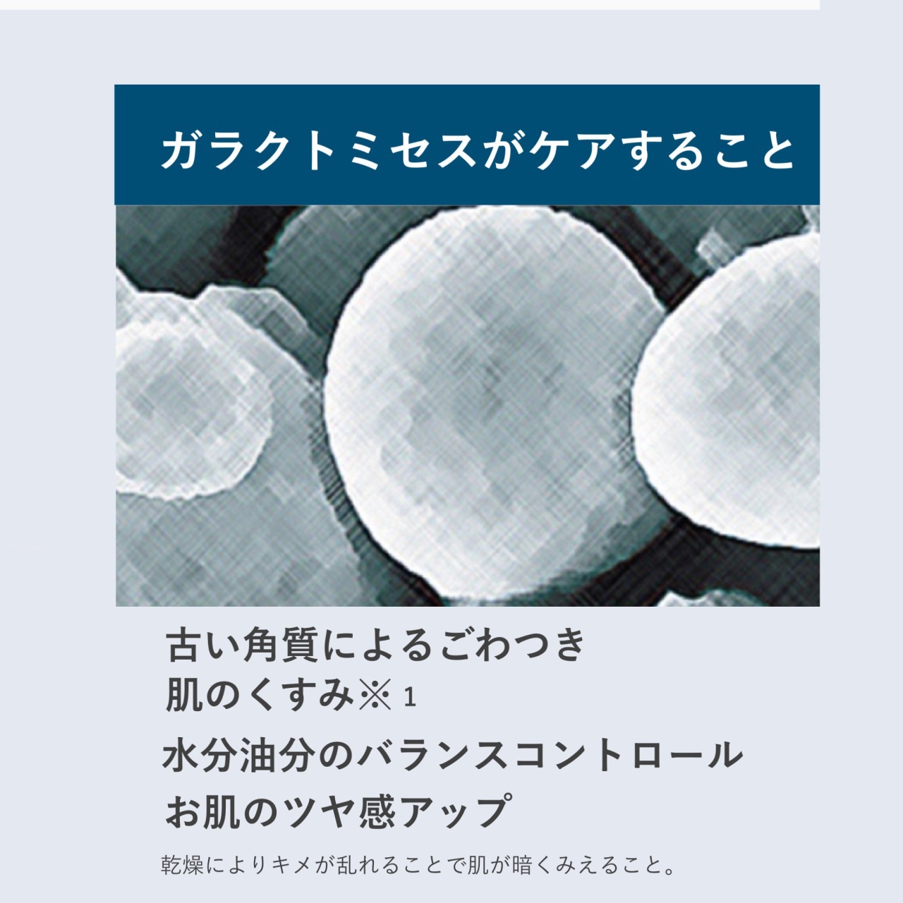 ���������å��󥹡�10%OFF�����̾����8900���ǹ�9790�ߡ�